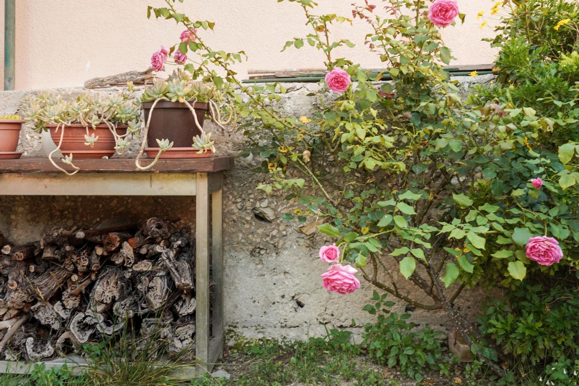 Tranquil Urban Escape Appartement Split